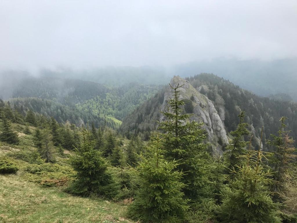 Apartament Ovo Sinaia Zewnętrze zdjęcie
