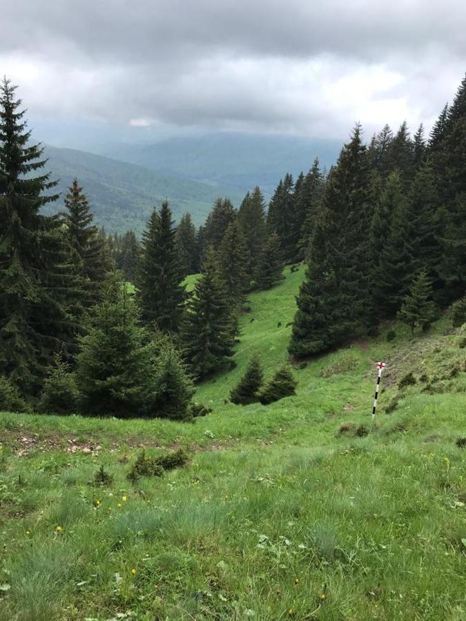 Apartament Ovo Sinaia Zewnętrze zdjęcie