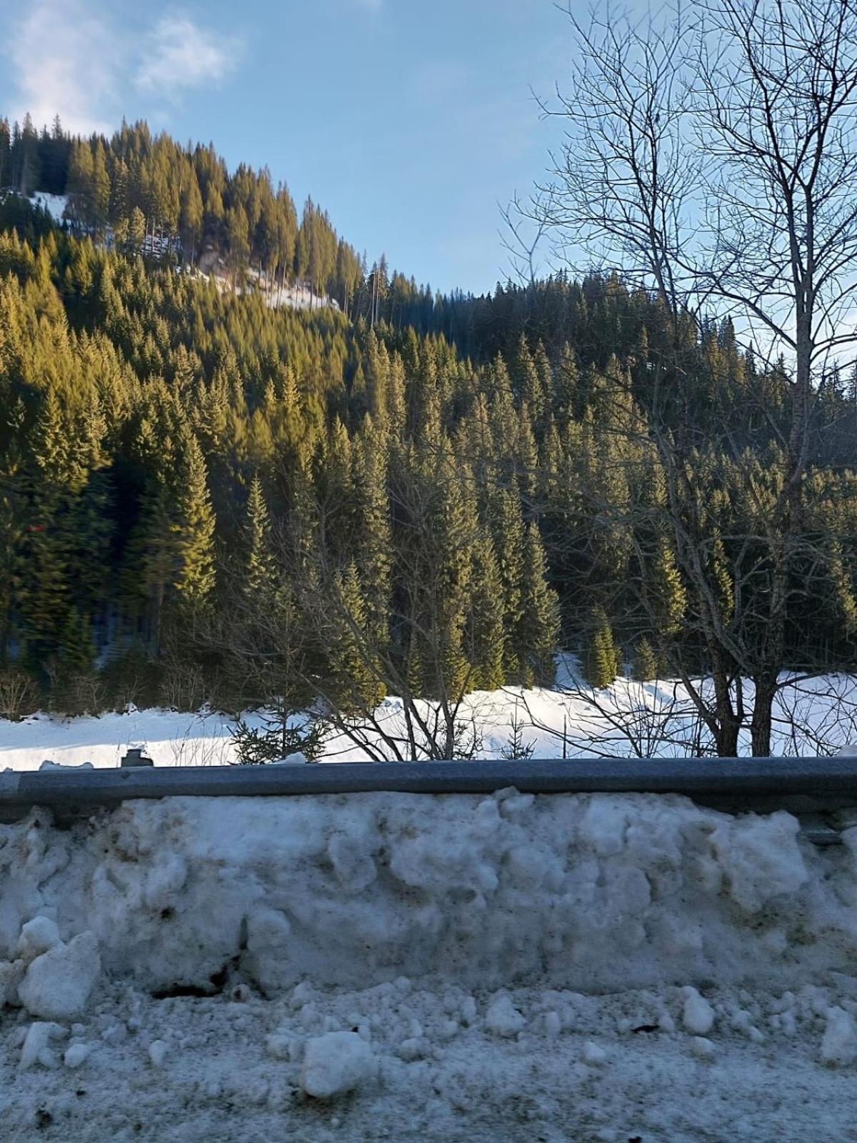 Apartament Ovo Sinaia Zewnętrze zdjęcie