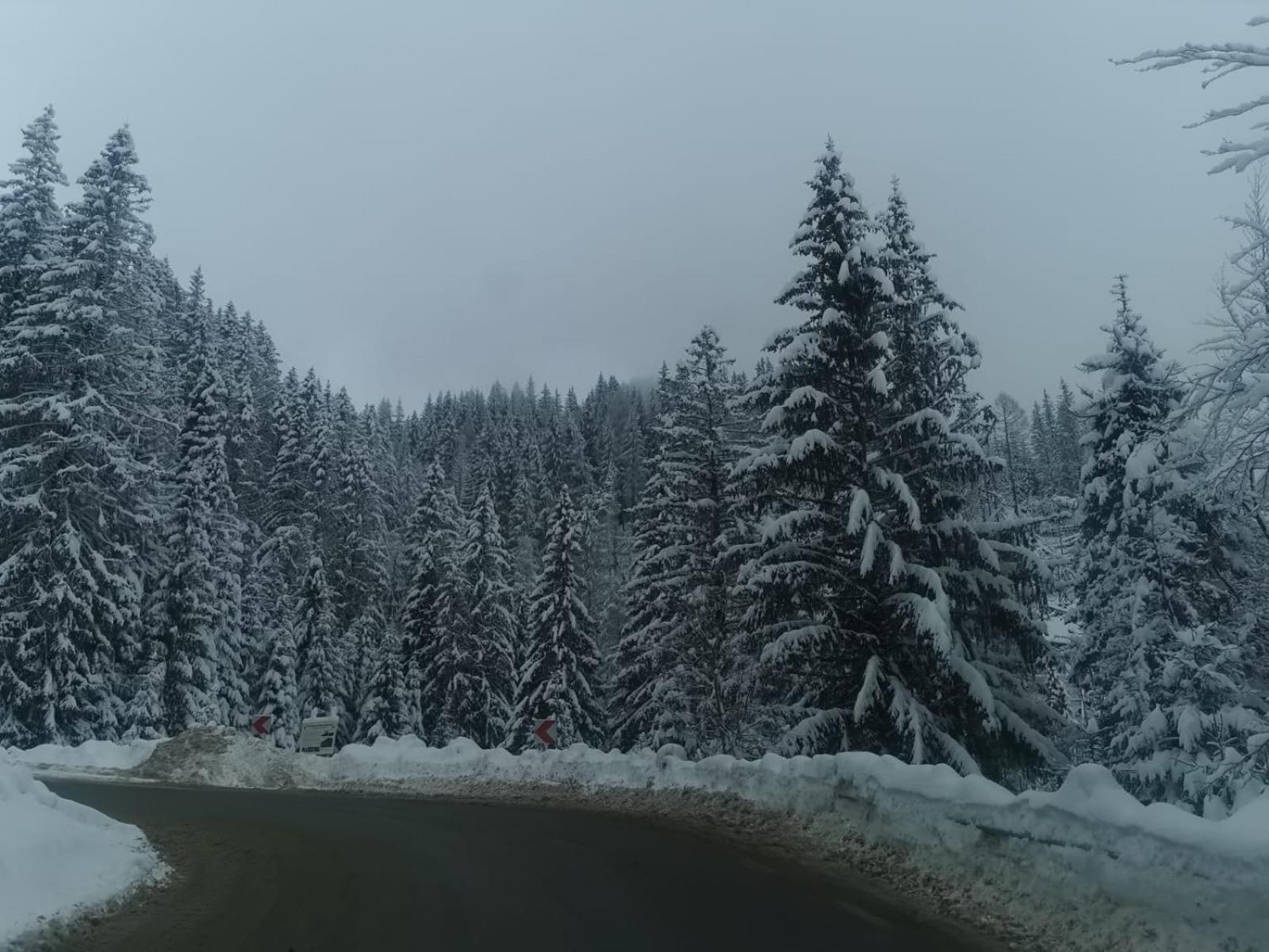 Apartament Ovo Sinaia Zewnętrze zdjęcie