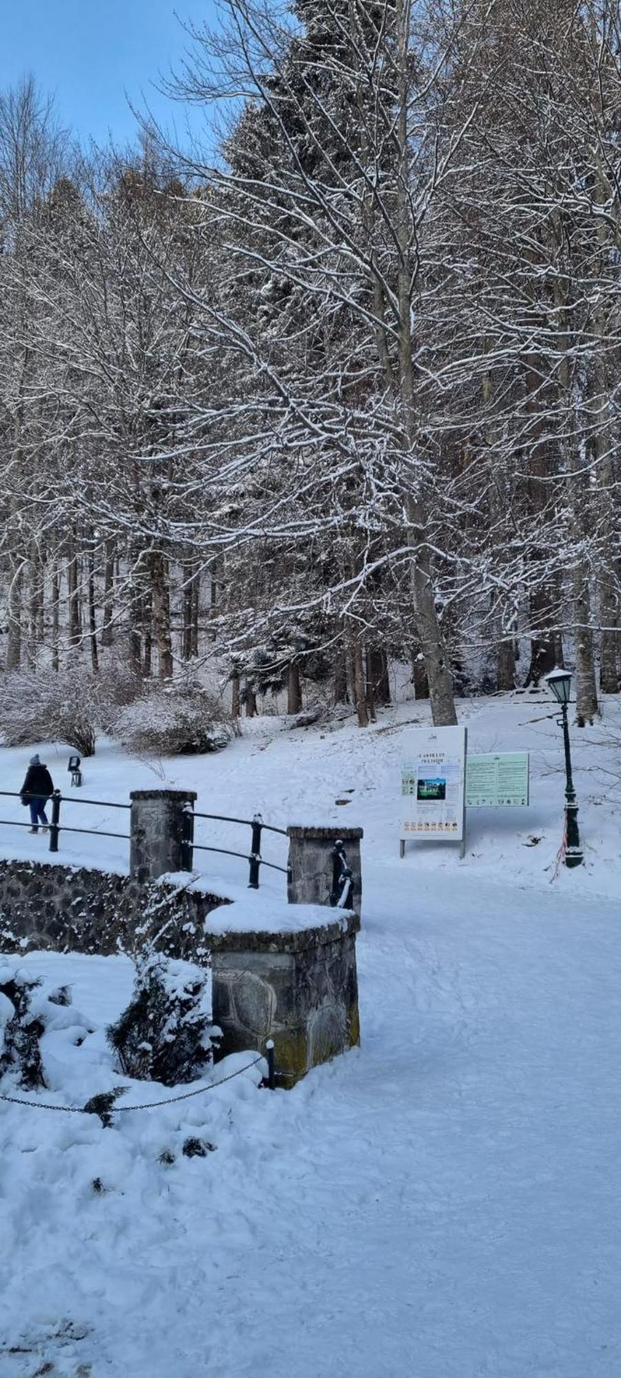 Apartament Ovo Sinaia Zewnętrze zdjęcie