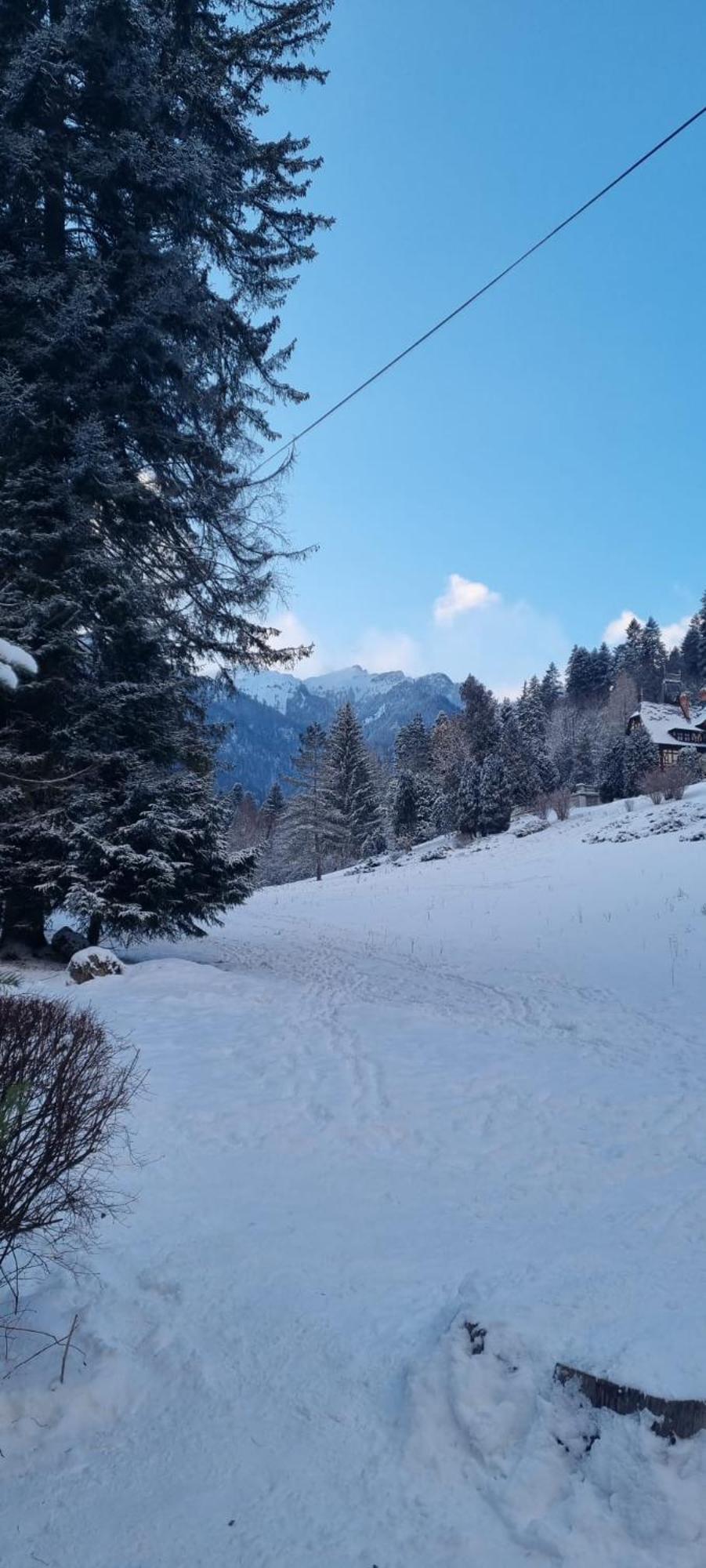 Apartament Ovo Sinaia Zewnętrze zdjęcie