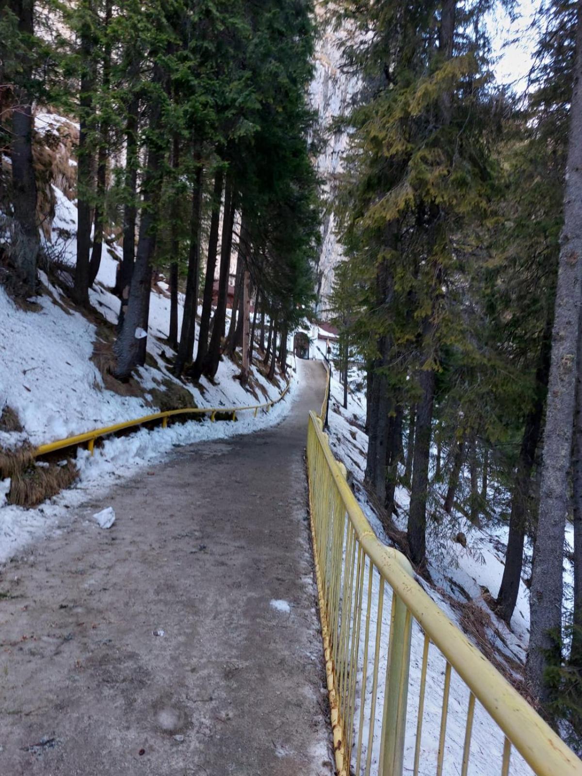 Apartament Ovo Sinaia Zewnętrze zdjęcie