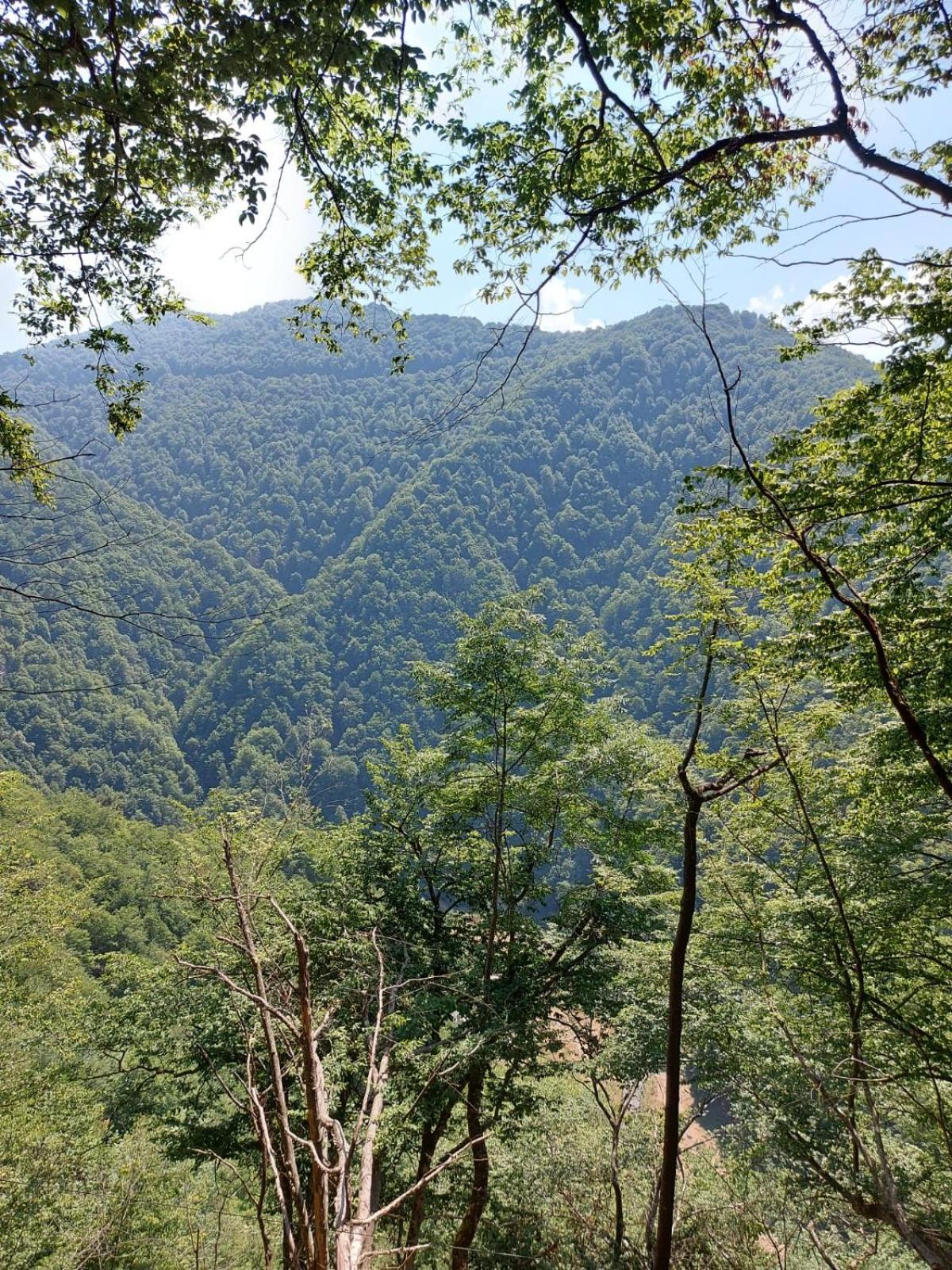 Apartament Ovo Sinaia Zewnętrze zdjęcie