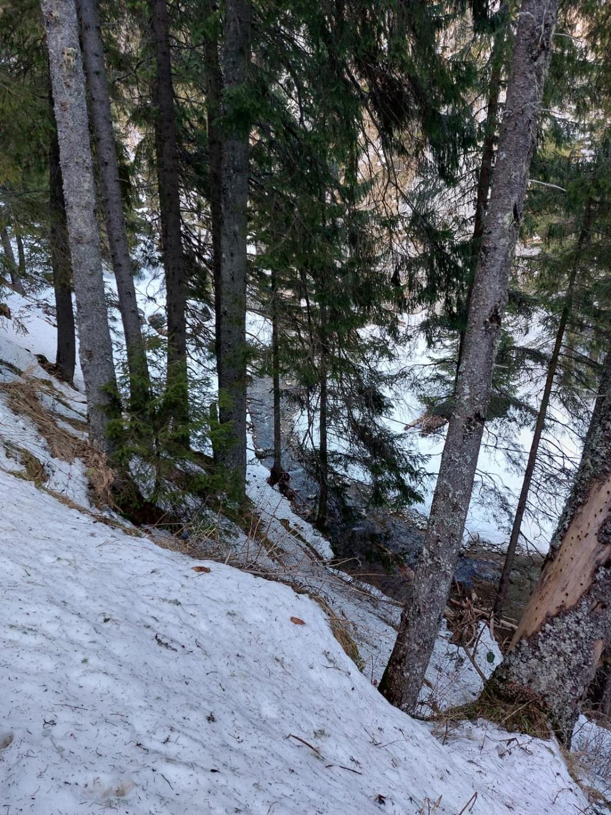 Apartament Ovo Sinaia Zewnętrze zdjęcie